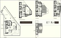 nim-collection photo thumbnail #2